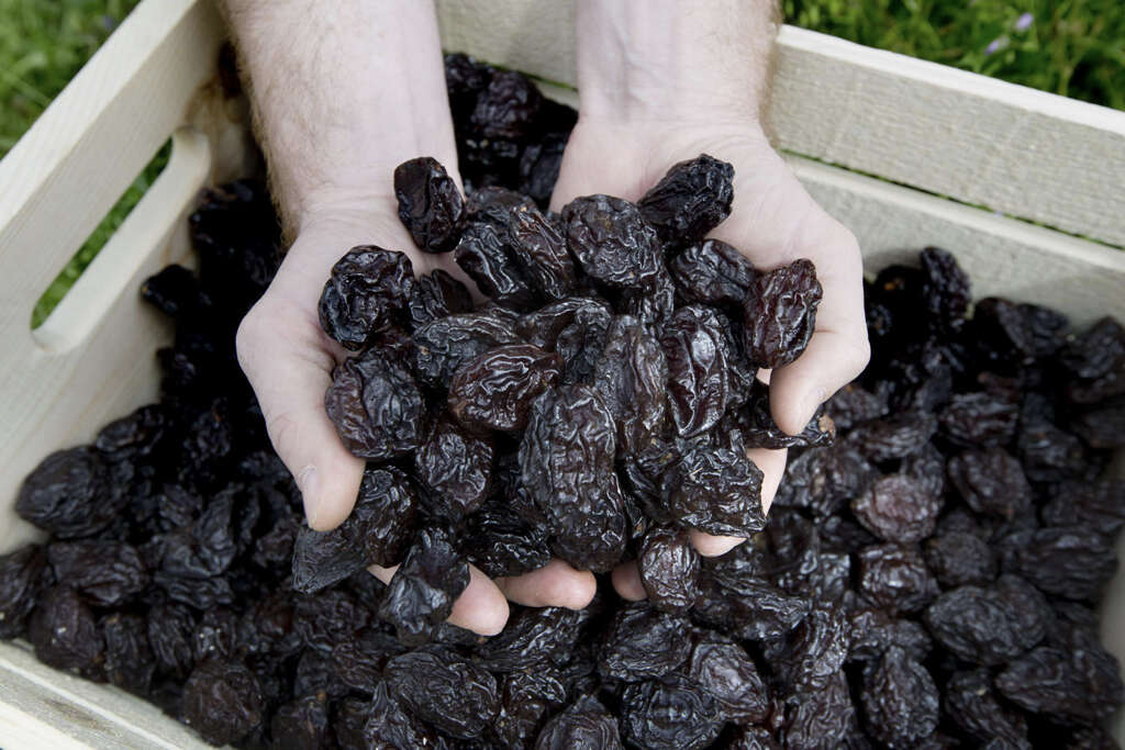 Prune Juice
