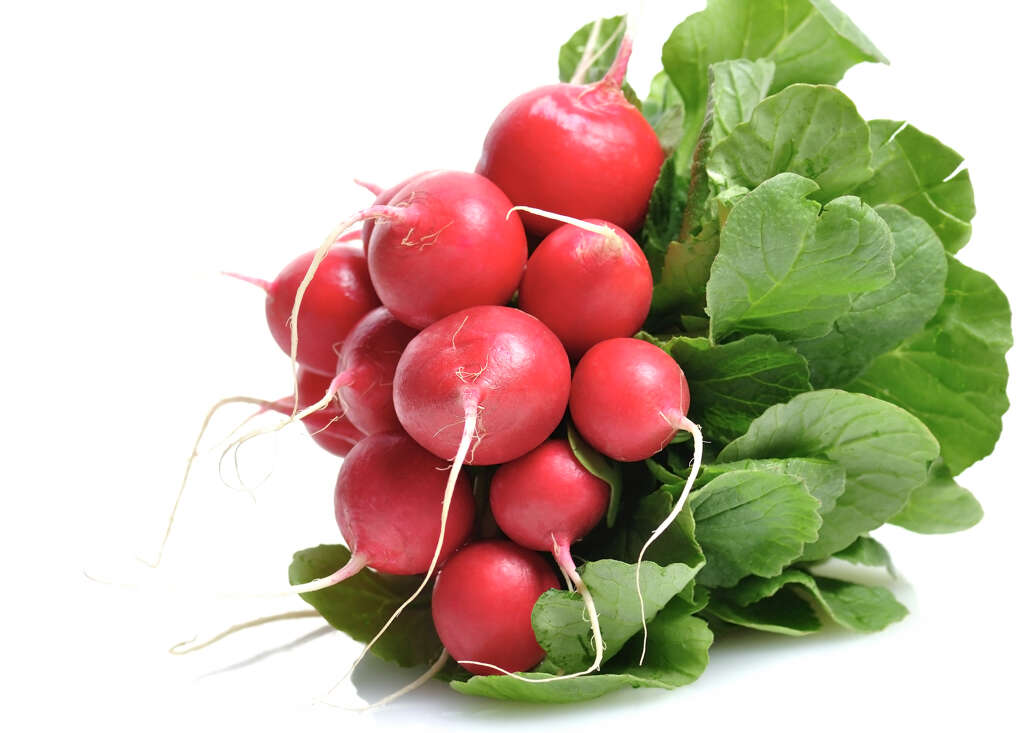 Radish