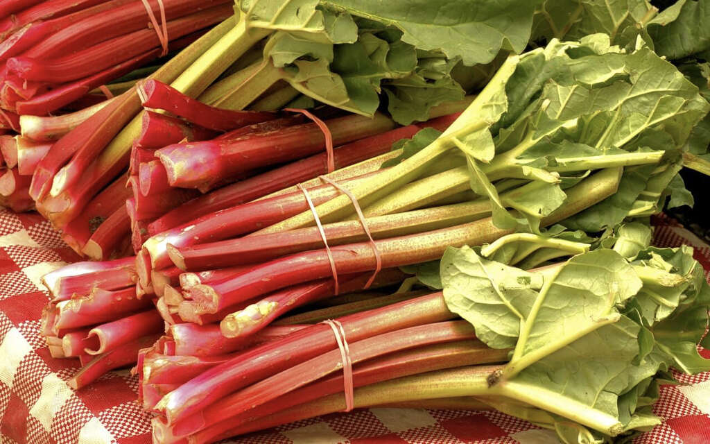 Rhubarb
