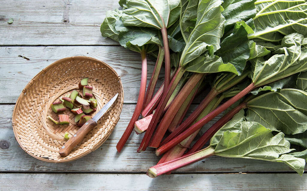 Rhubarb