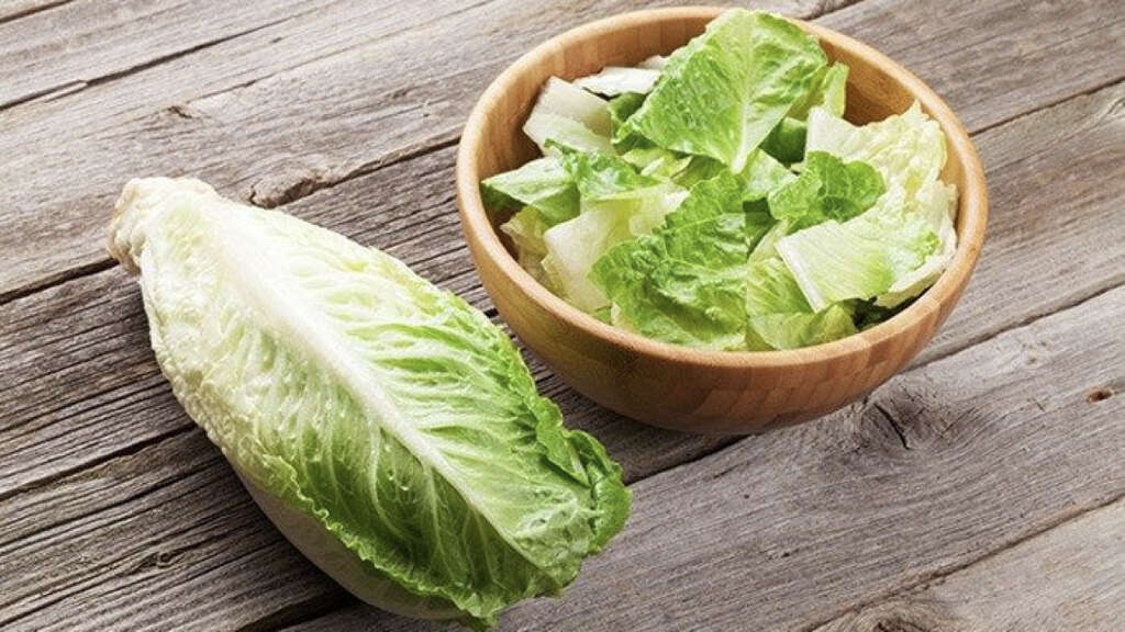 Romaine Lettuce