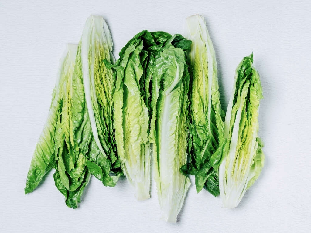 Romaine Lettuce