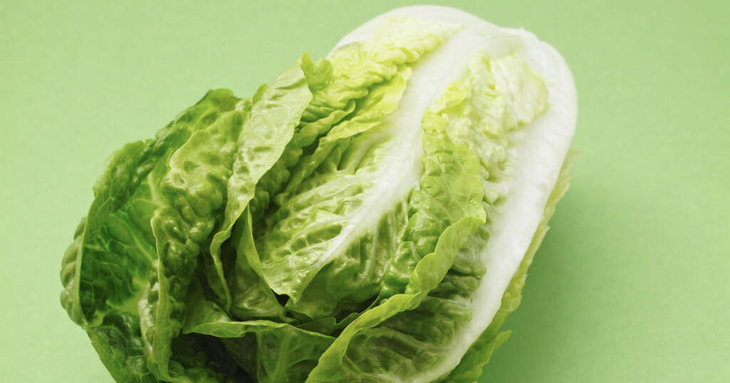 Romaine Lettuce