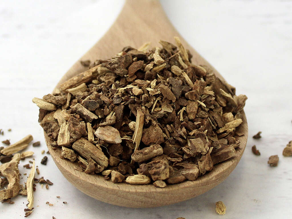 Sarsaparilla