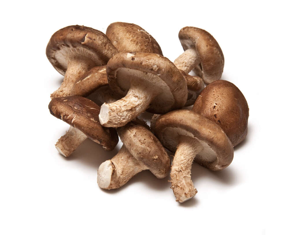 Shiitake Mushrooms