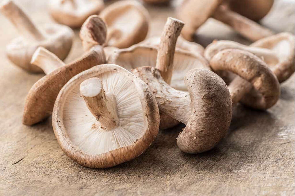 Shiitake Mushrooms