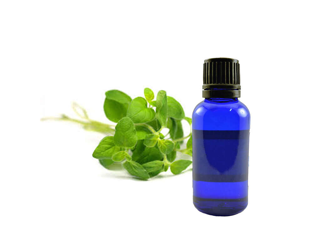 Oregano Oil