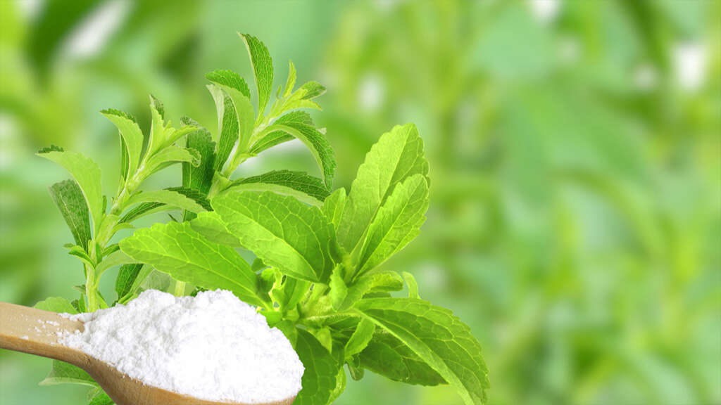 Stevia