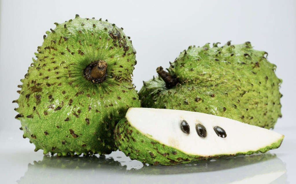 Soursop