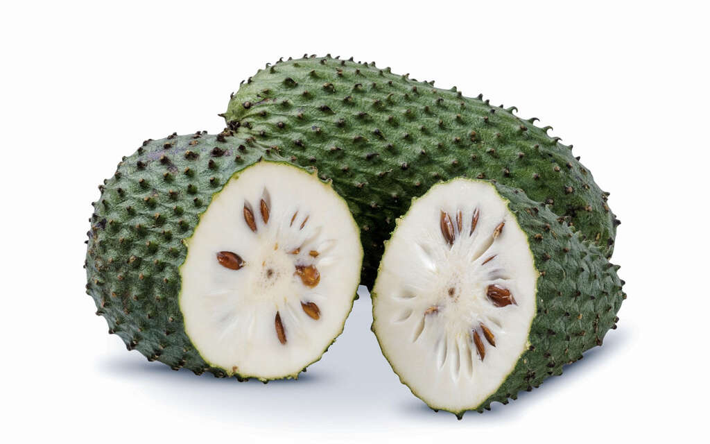Soursop