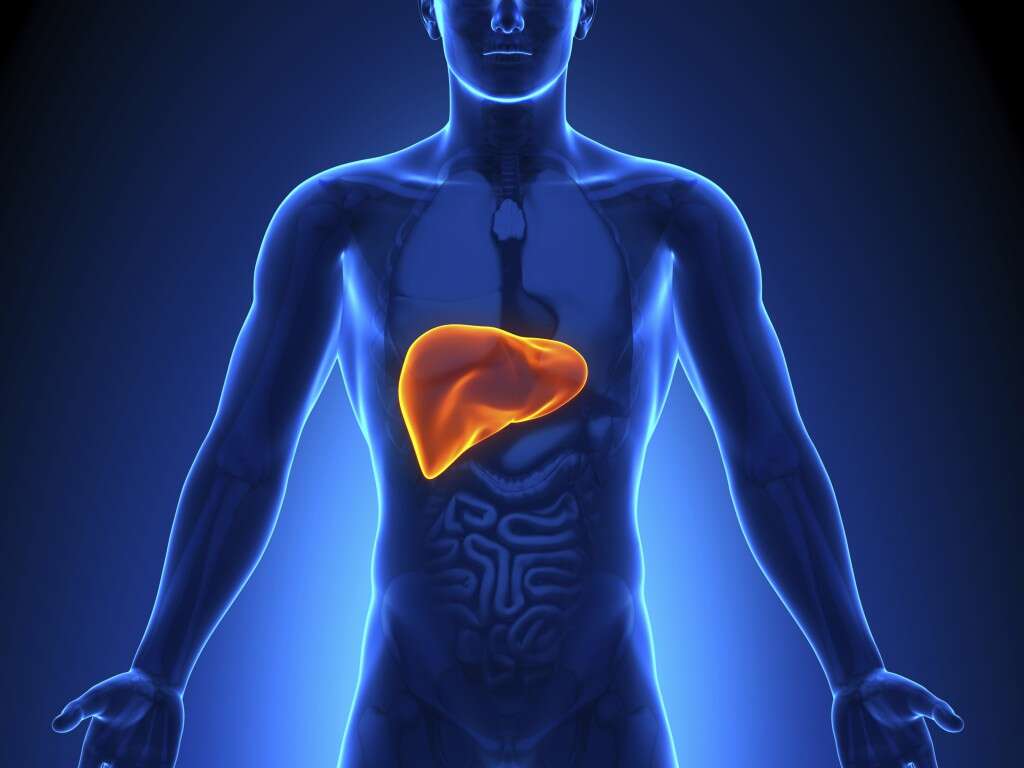 Liver Cancer