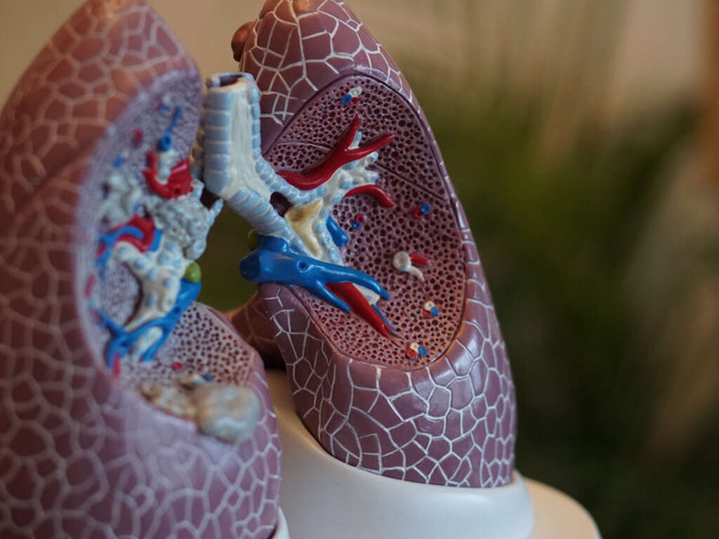 Tachypnea Causes, Symptoms and More