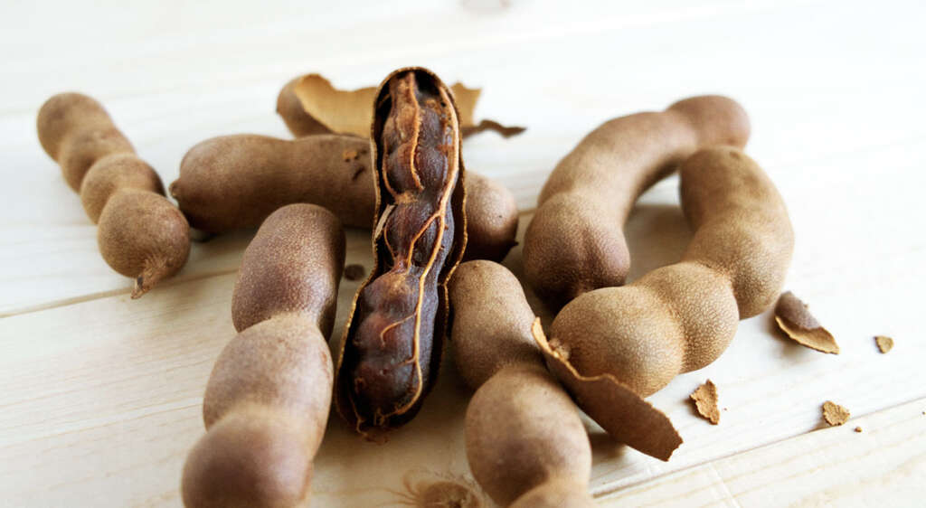 Tamarind