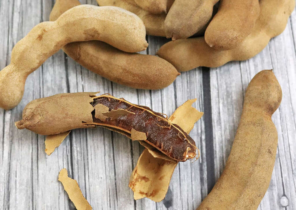 Tamarind