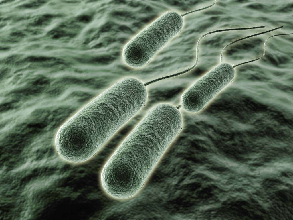 Urinary Tract Infection