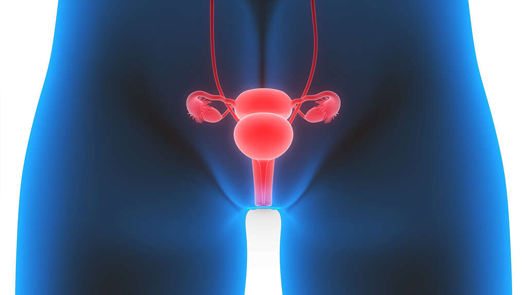 Vulvar Cancer