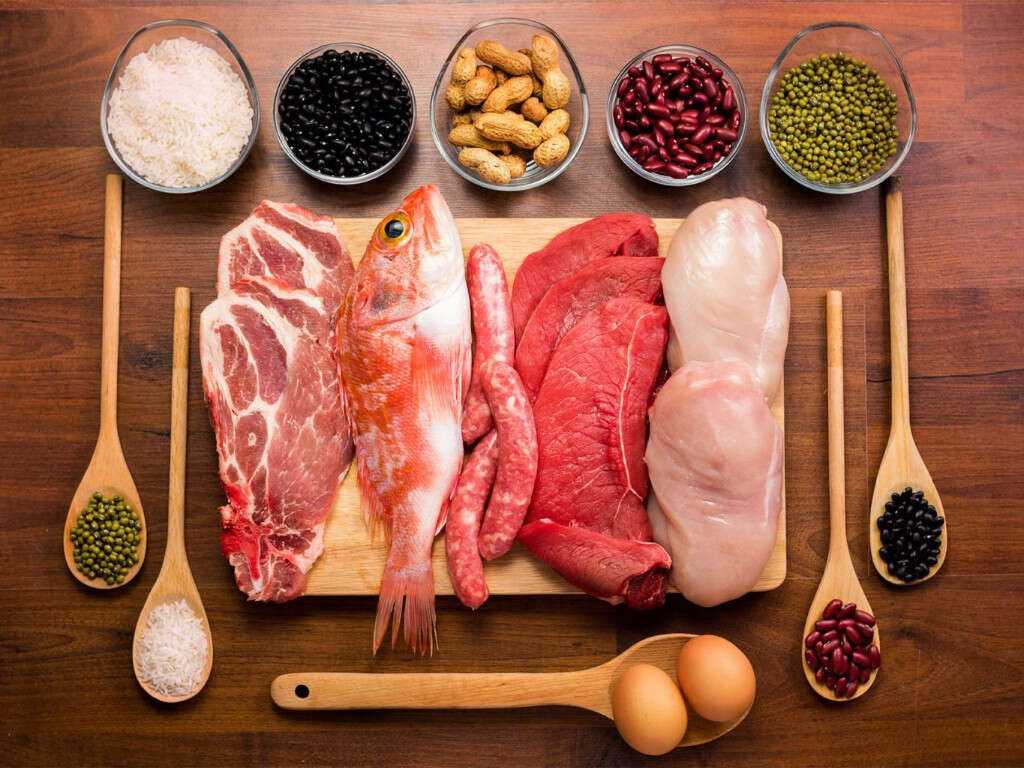 Increase Metabolism