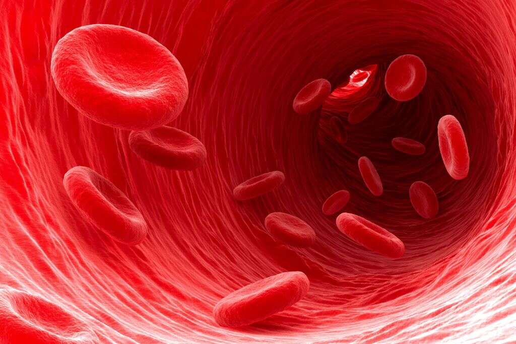 Capillaries