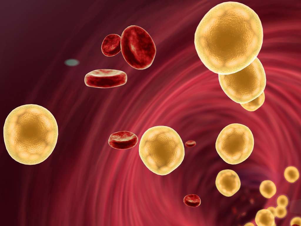 Lipids