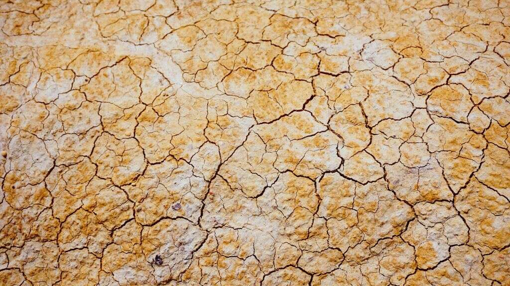 Shingles