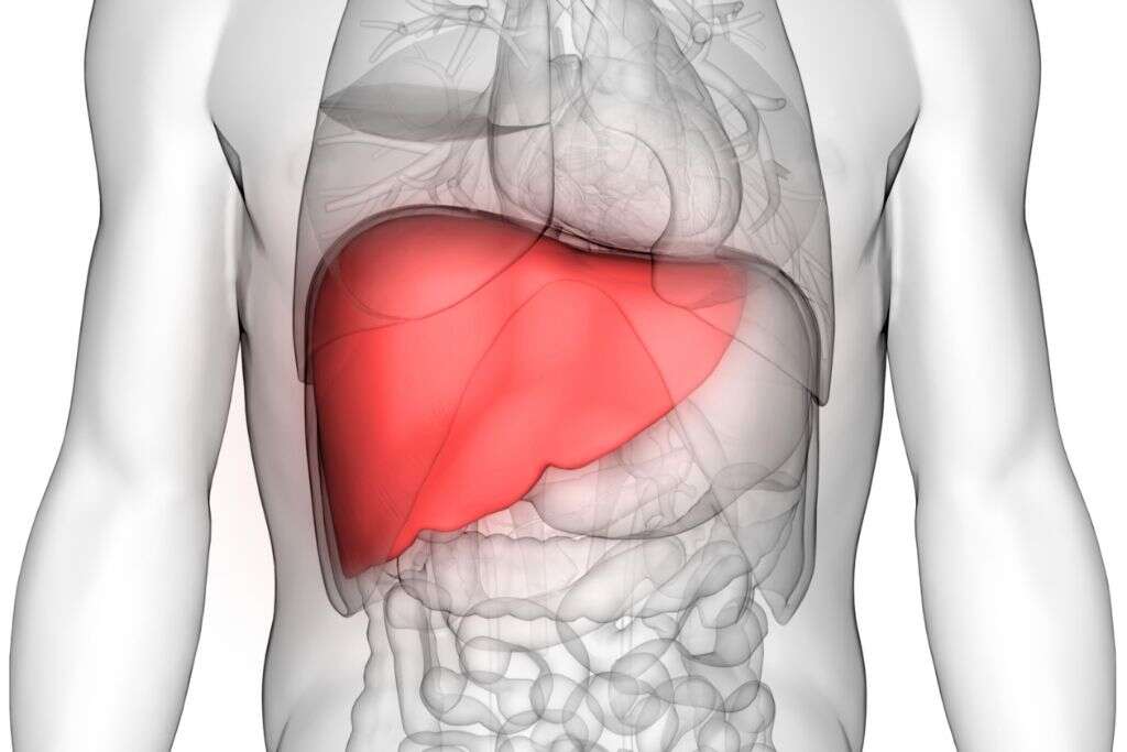 Enlarged Spleen