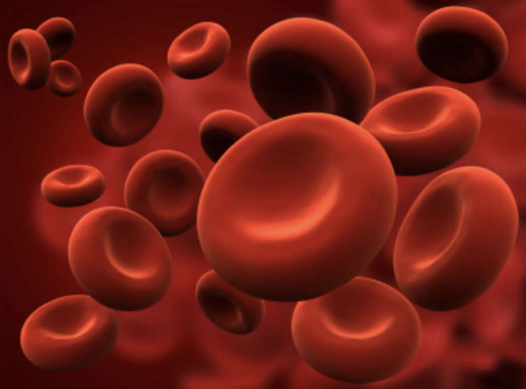 Low Blood Pressure