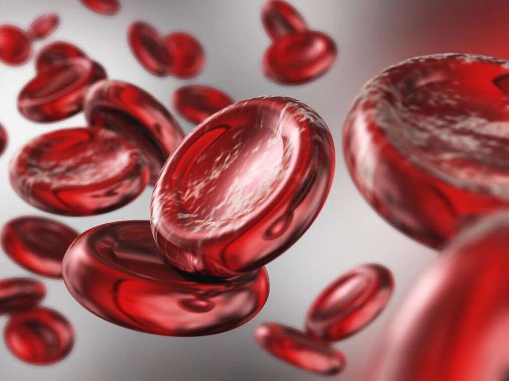 Red Blood Cells