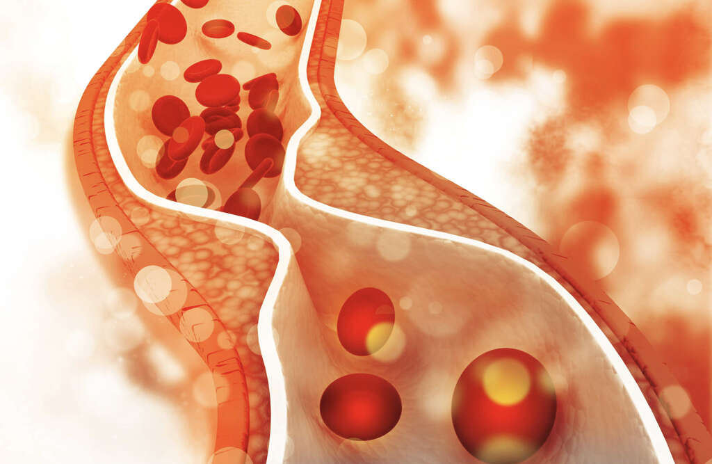 Liver