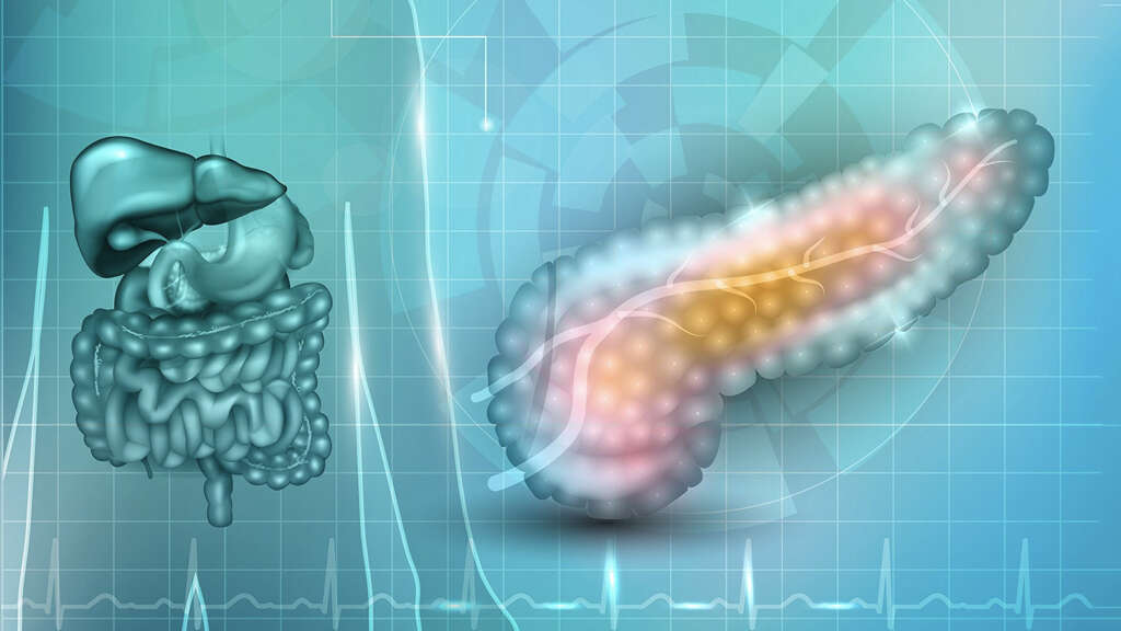 Pancreas