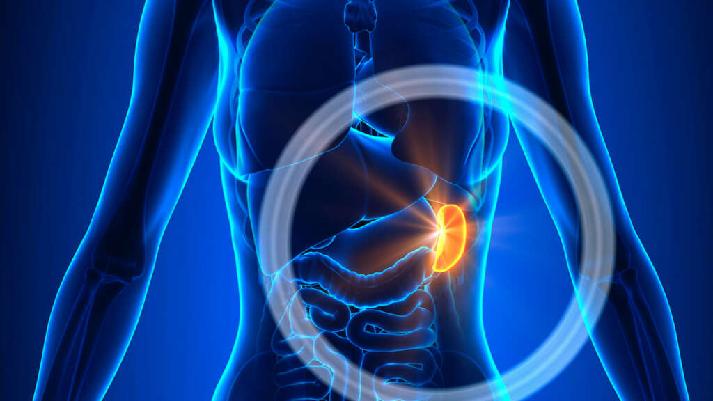 Spleen