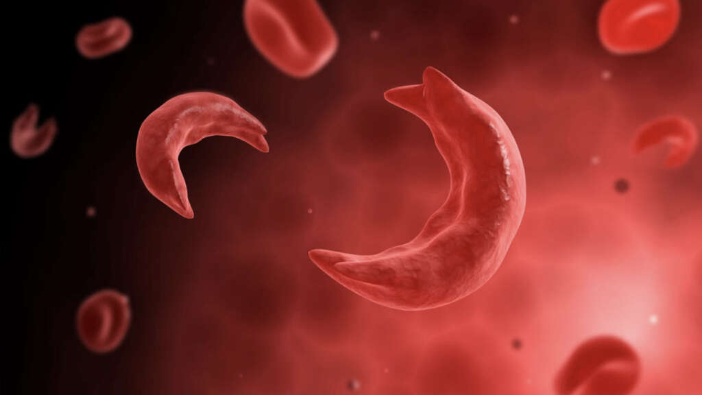 Spleen