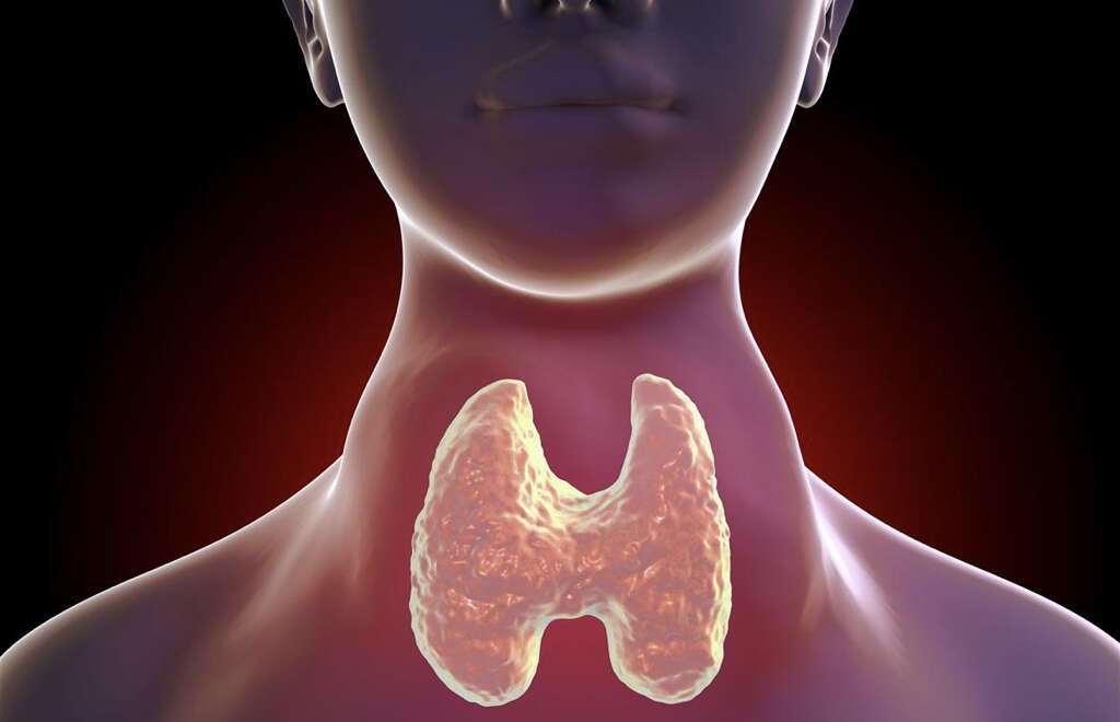 Thyroid