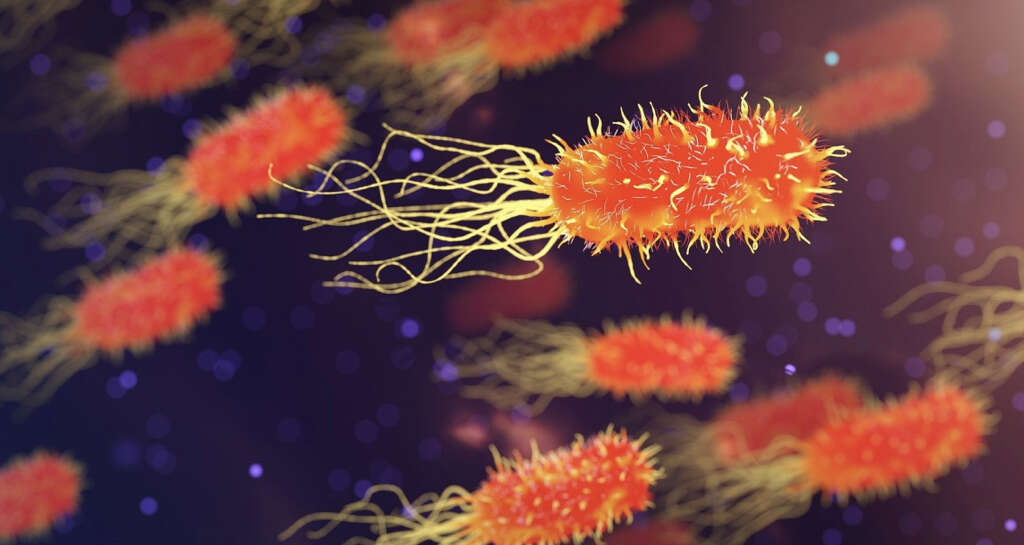 Bacterial Infection