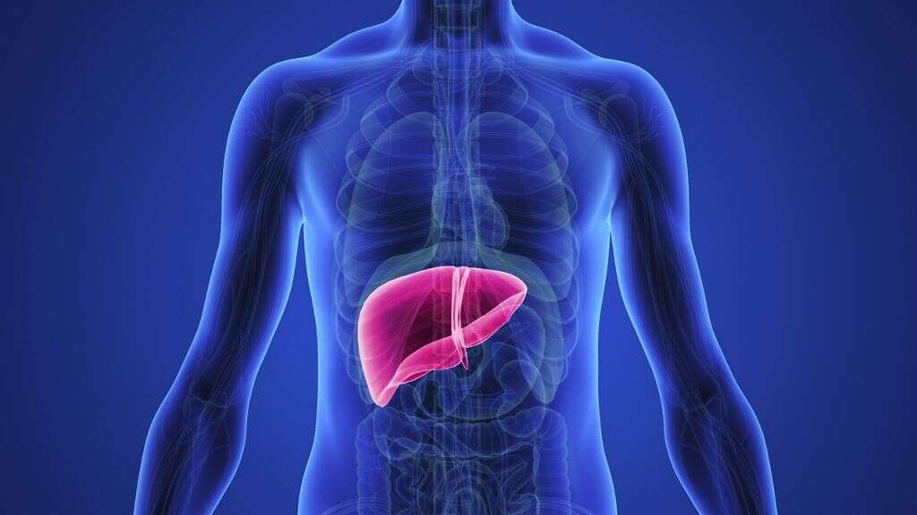 Fatty Liver