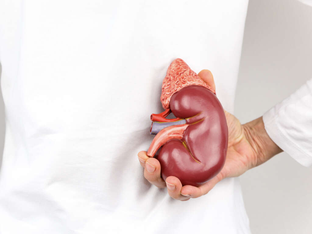 Kidney Cyst