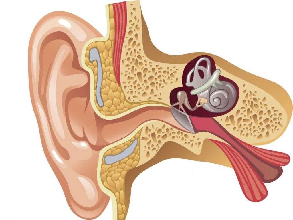Middle Ear Infection