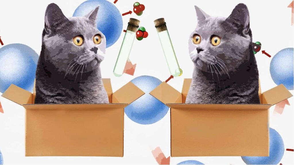 Paradox