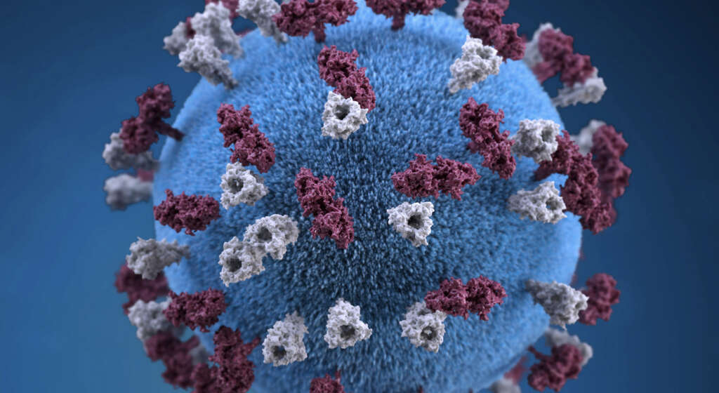 Rubella