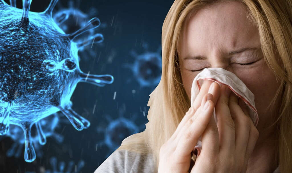 what is type a flu