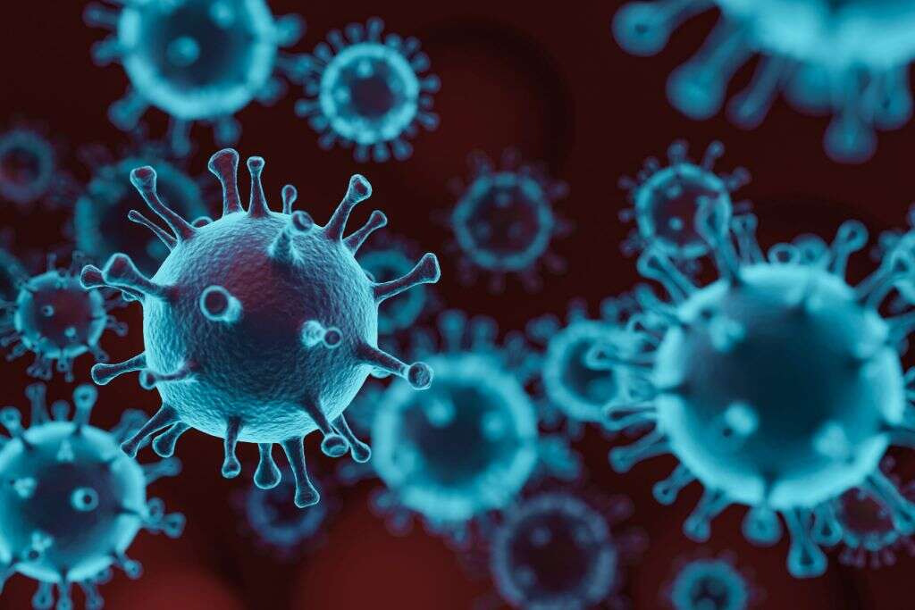 Viral Infection