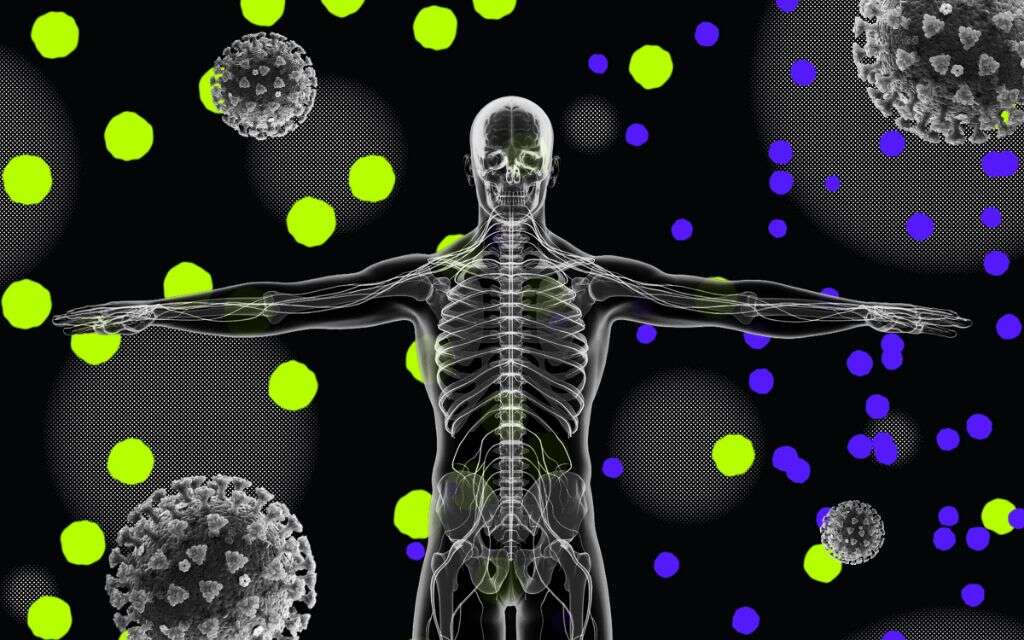 Viral Infection