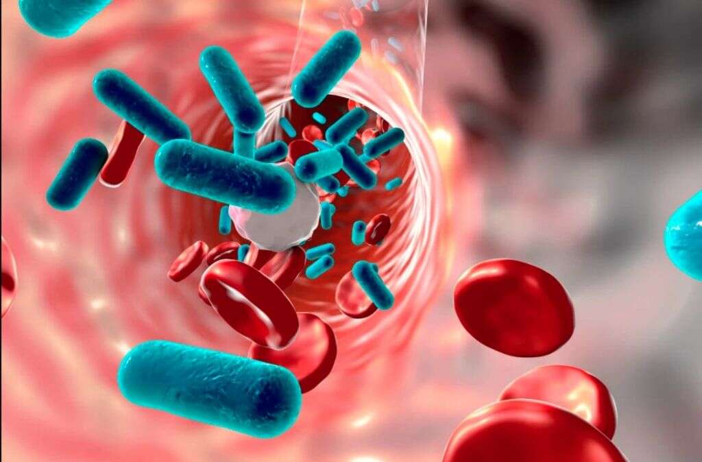 Viral Infection