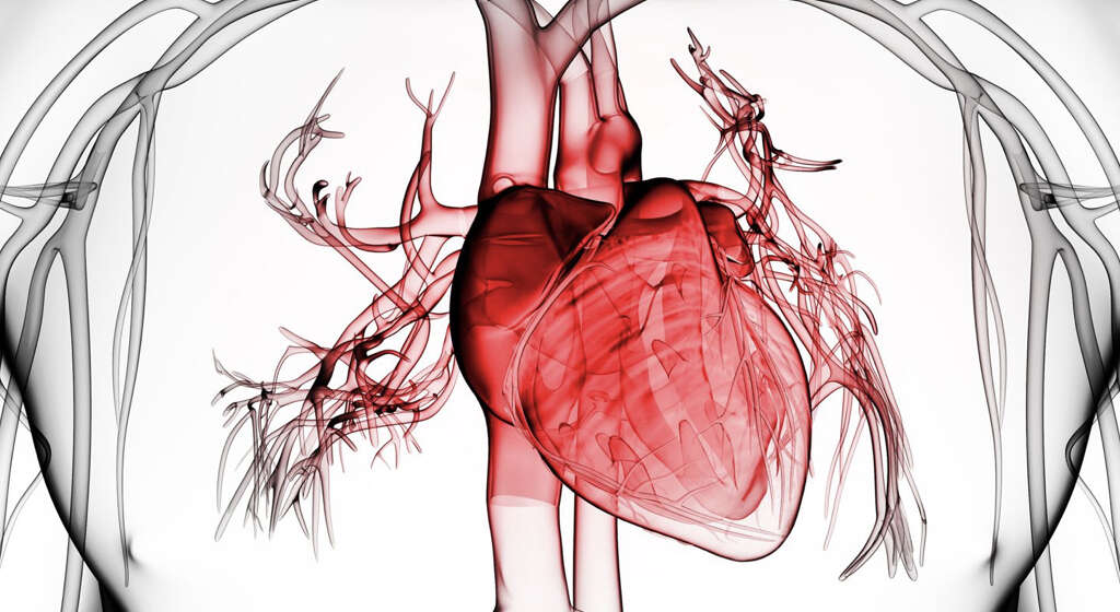Acute Renal Failure