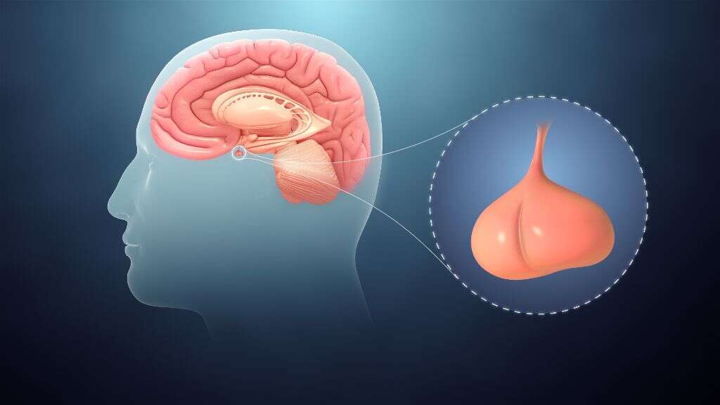Endocrinologist
