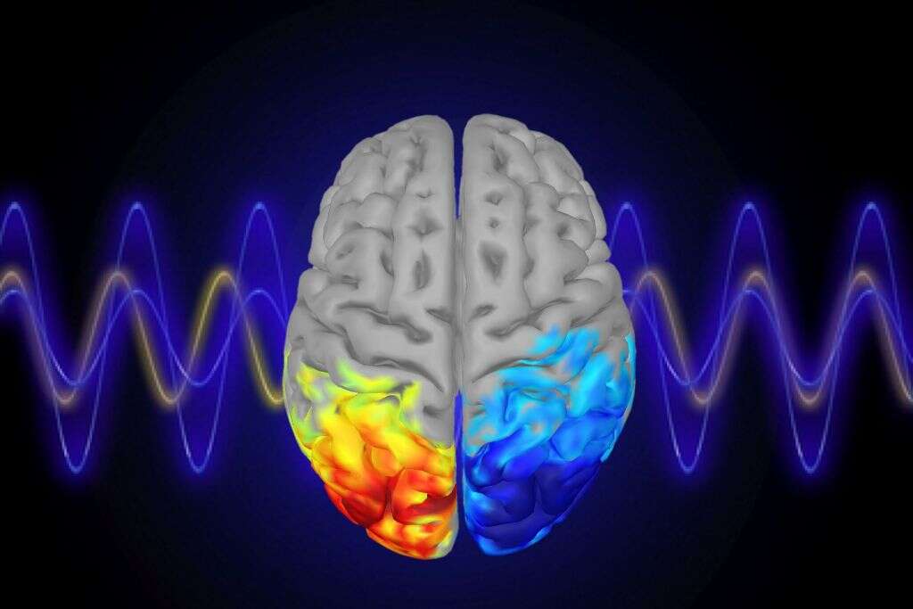 Ocular Migraine