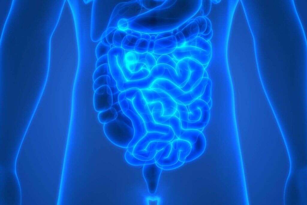 Anal Cancer