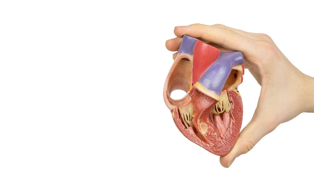 Atherosclerotic Cardiovascular Disease