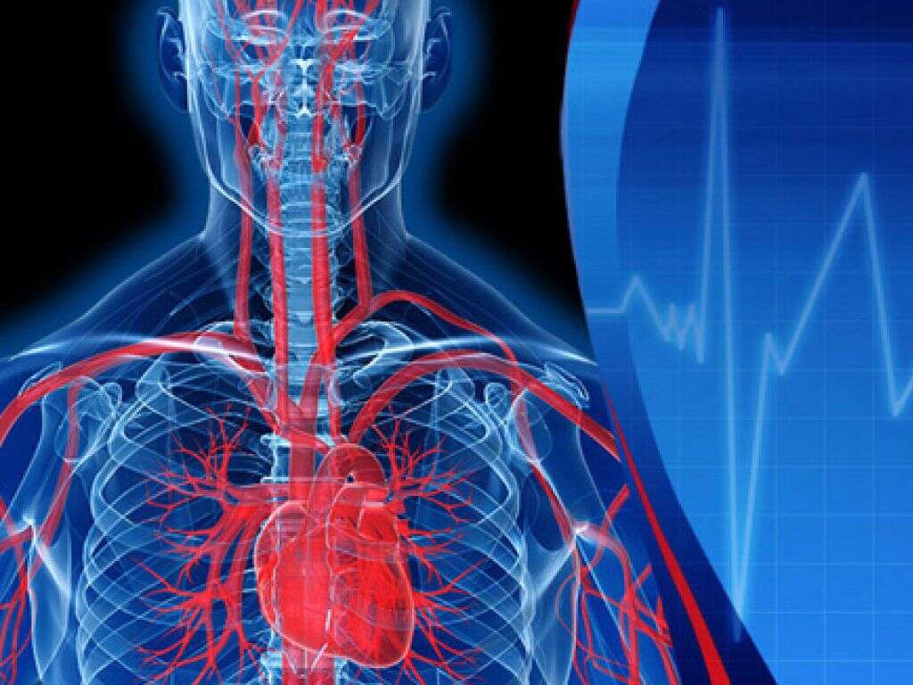 Brugada Syndrome