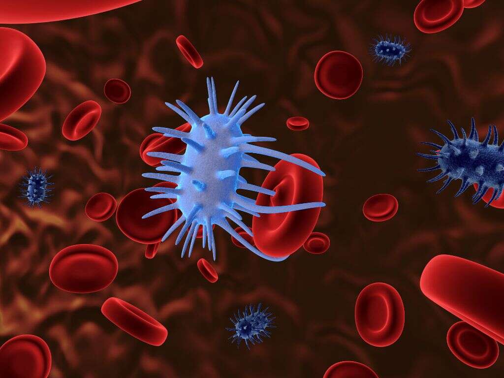 Bullous Pemphigoid