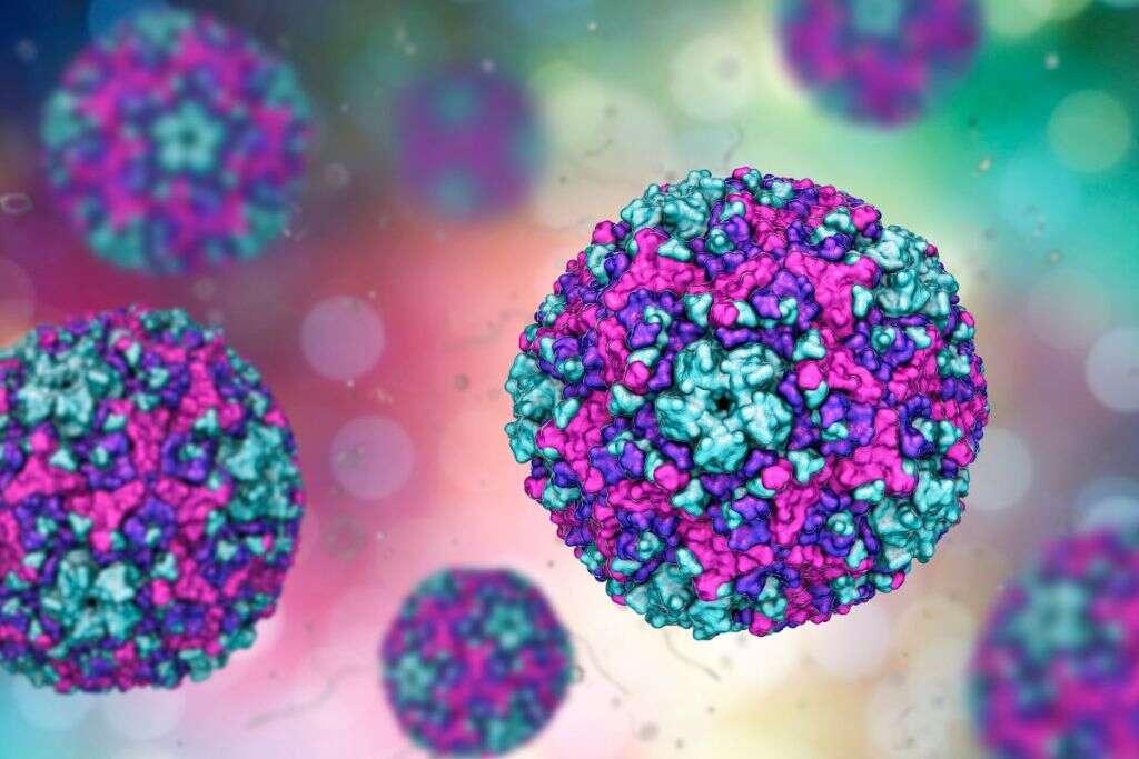 Coxsackievirus